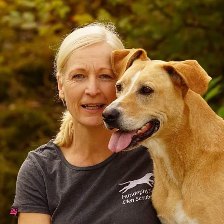 Unterwasserlaufband für Hunde